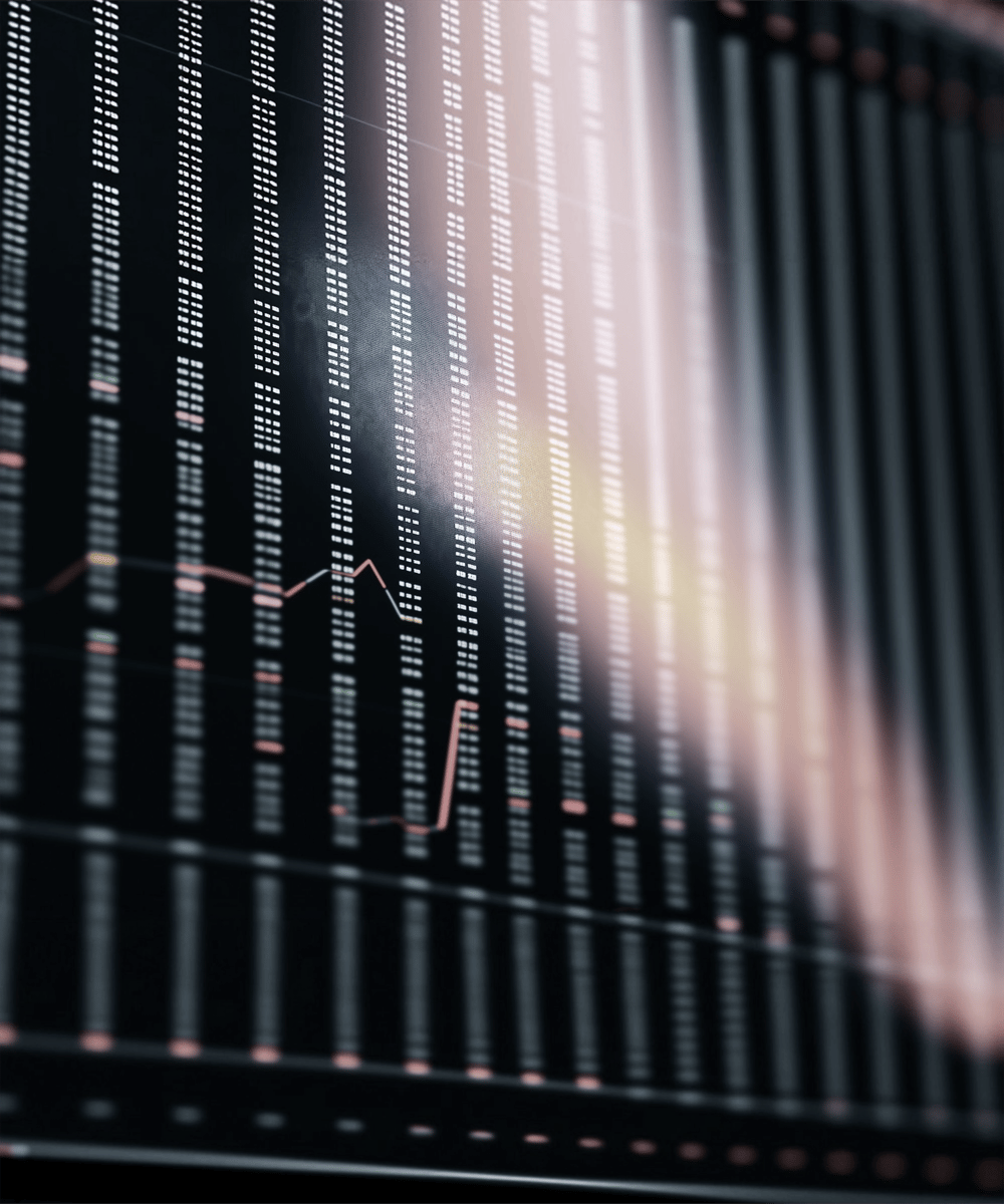 Stock Market Display